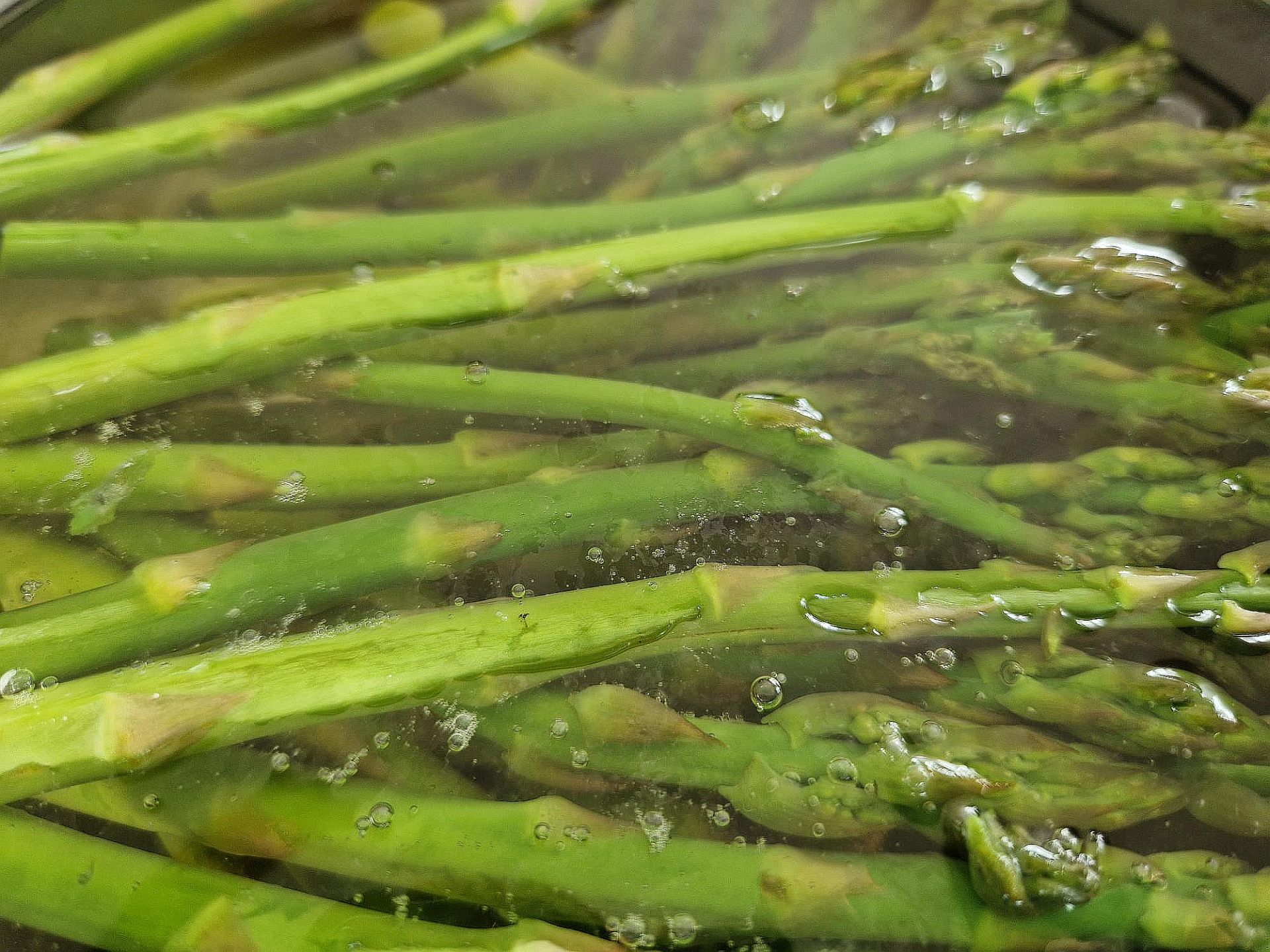 grüner Spargel in heißem Salzwasser