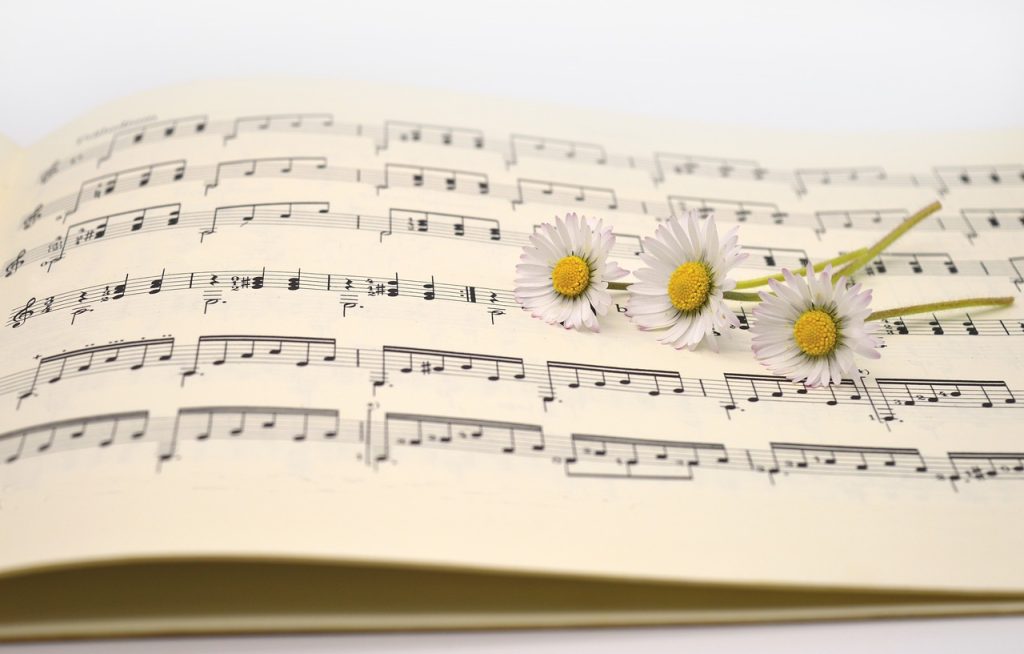 music, sheet music, daisy
