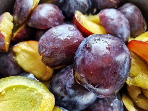 Reife, lila blaue Zwetschgen, ganz und halbiert