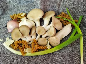 Austernpilze, rohe Nudeln, Lauchzwiebeln, eine Schalotte und eine Knoblauchzehe